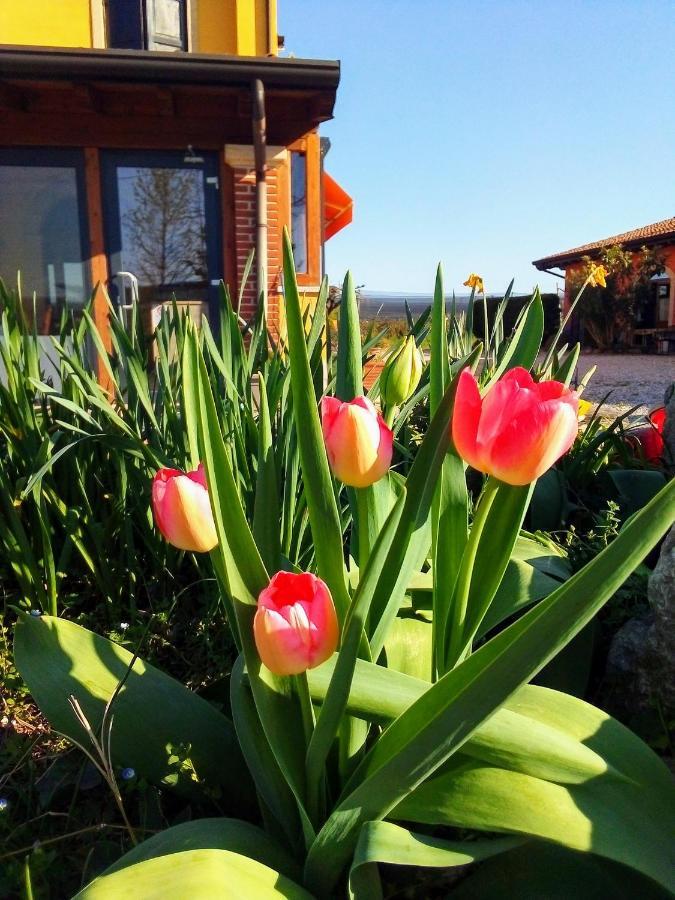 Agriturismo Fior Di Maggio Pescantina Exterior foto